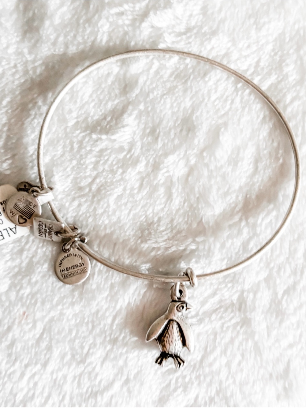 NWT! Alex and Ani Penguin Charm Bangle Bracelet - Silver